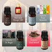 Diffuser Oil Set of 4 - Luxury Hotel & Designer Collection Four Seasons, St. Regis, Baccarat Rouge, Oud Wood Scent Aura IV