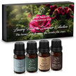 Diffuser Oil Set of 4 - Luxury Hotel & Designer Collection Four Seasons, St. Regis, Baccarat Rouge, Oud Wood Scent Aura IV